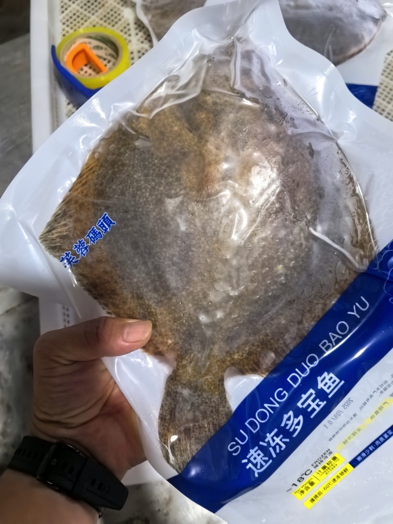 多宝鱼现货现发精品多宝鱼诚信经营基地直供品质优可视频看货