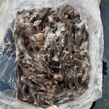 55克麻鸡黑鸡爪