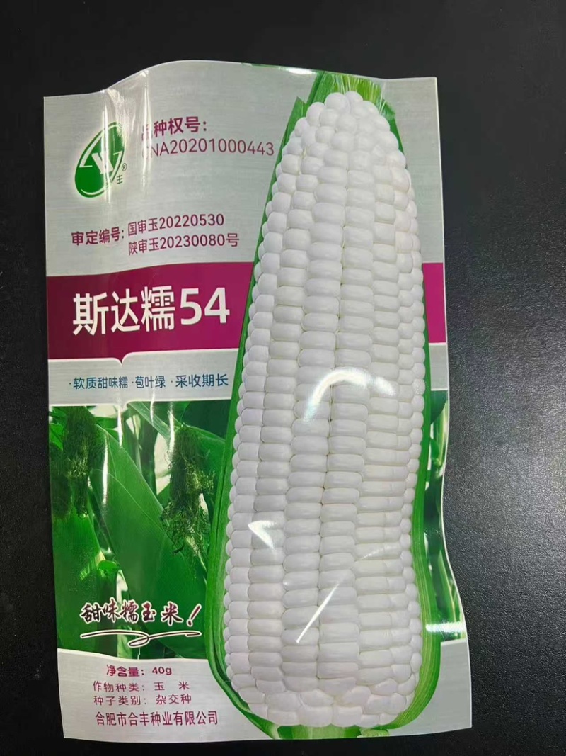 【荐】斯达糯玉米54-白甜糯玉米种子杂交早熟高产甜糯