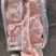 带皮后上肉10公斤/箱4-9片新货鲜分