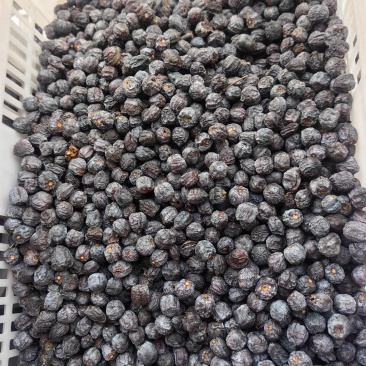 涉县有核黑枣，如黑珍珠般的果实，大量有货