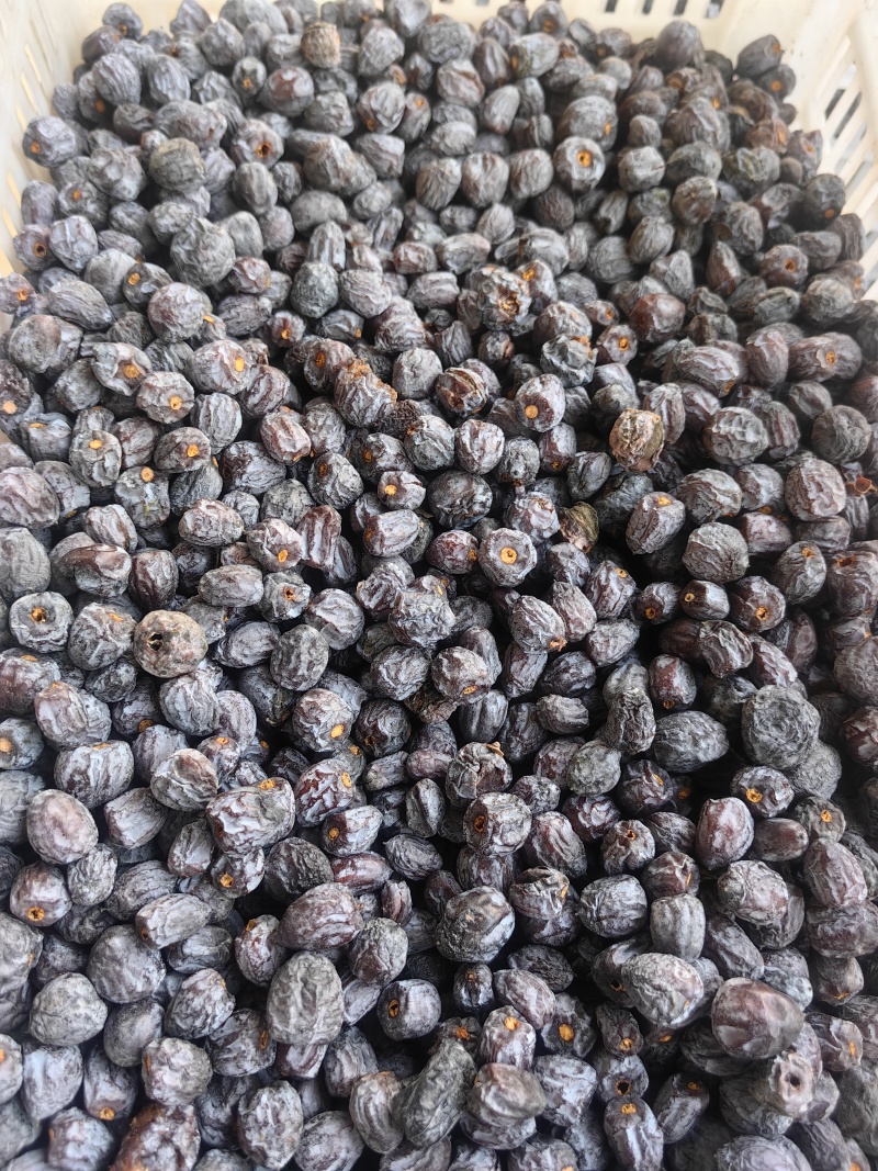 涉县有核黑枣，如黑珍珠般的果实，大量有货