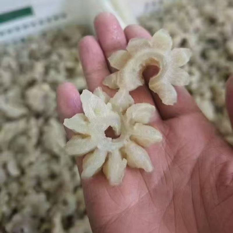 牛鞭花