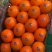 脐橙湖北脐橙纽荷尔脐橙冰糖橙承接商超电商外贸加工