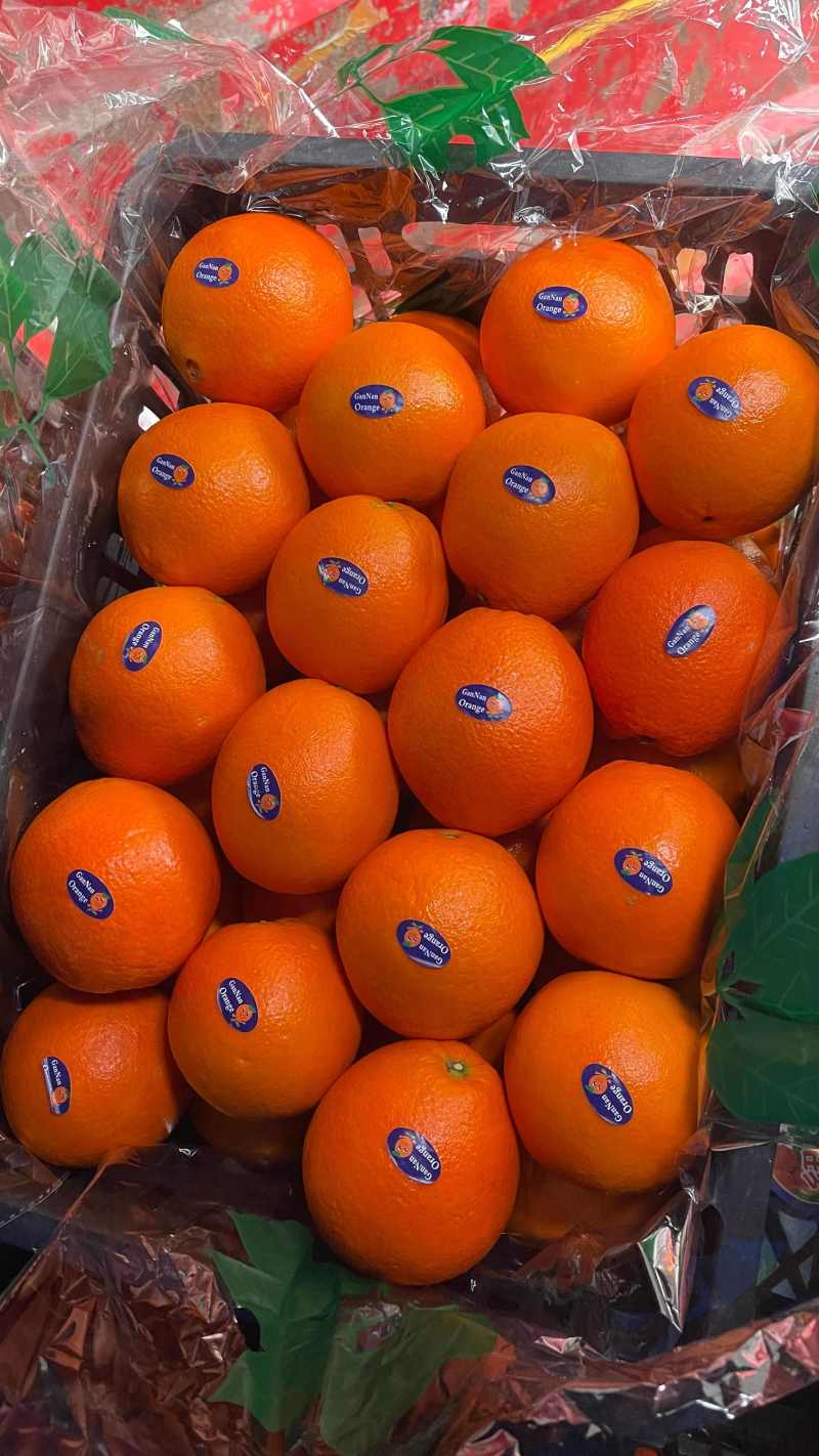 脐橙湖北脐橙纽荷尔脐橙冰糖橙承接商超电商外贸加工