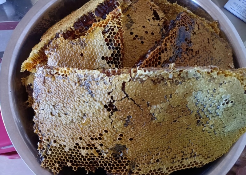 贵州大山里的百花蜜，一年取一次蜜