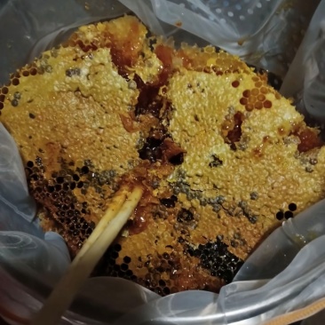 贵州大山里的百花蜜，一年取一次蜜