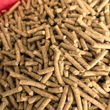 颗粒饲料，货源充足，产地直发，欢迎咨询