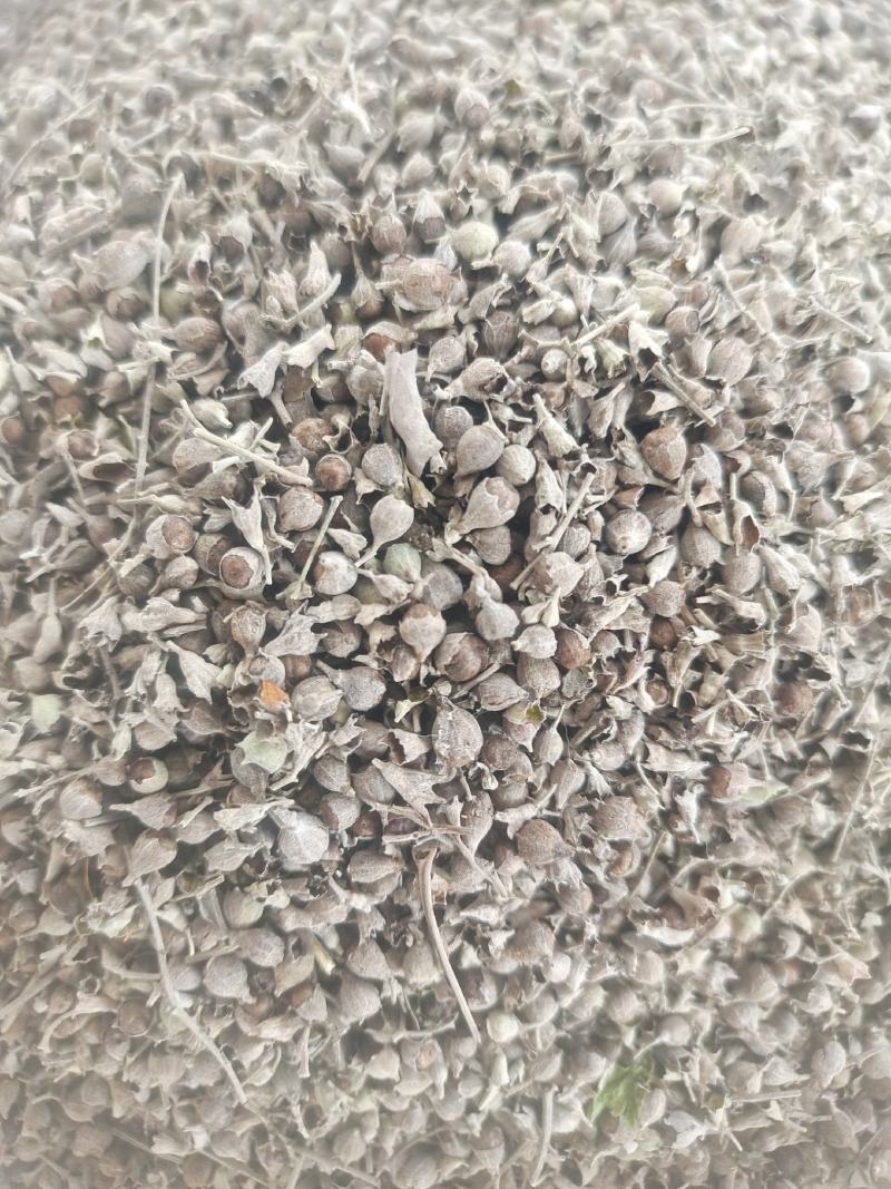 黄荆子牡荆子布荆子野生药材枕头玩具填充物不惊子