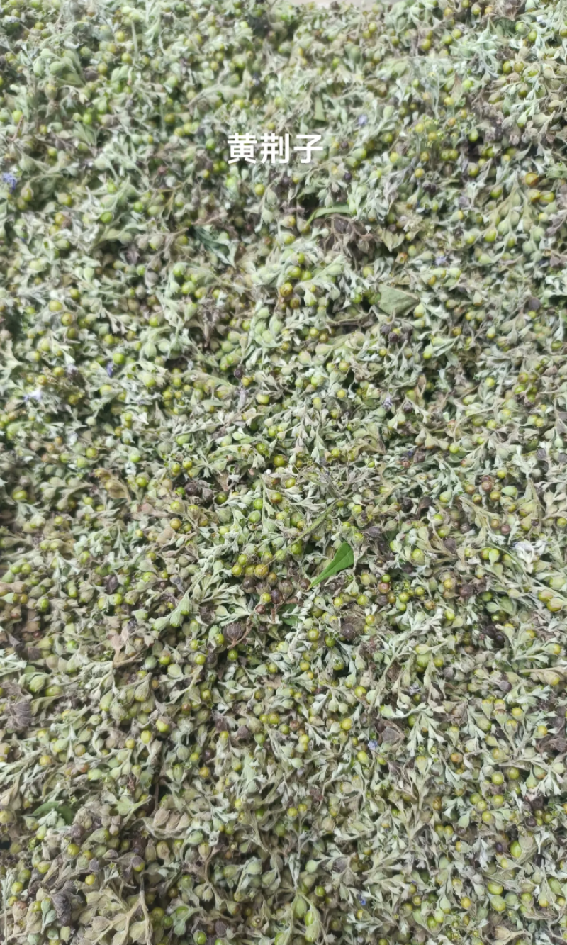 黄荆子牡荆子布荆子野生药材枕头玩具填充物不惊子