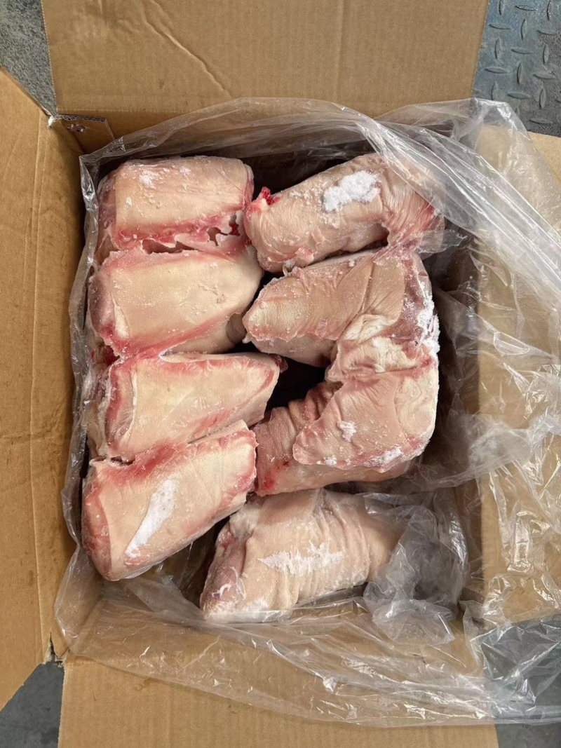 纯干前肘7个的厂家直销新鲜日期保质保量新货好货保好货哈哈