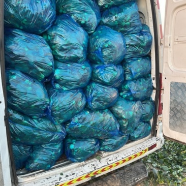 南通海门短脚菜大量出出售价格便宜，全国发货量大优惠