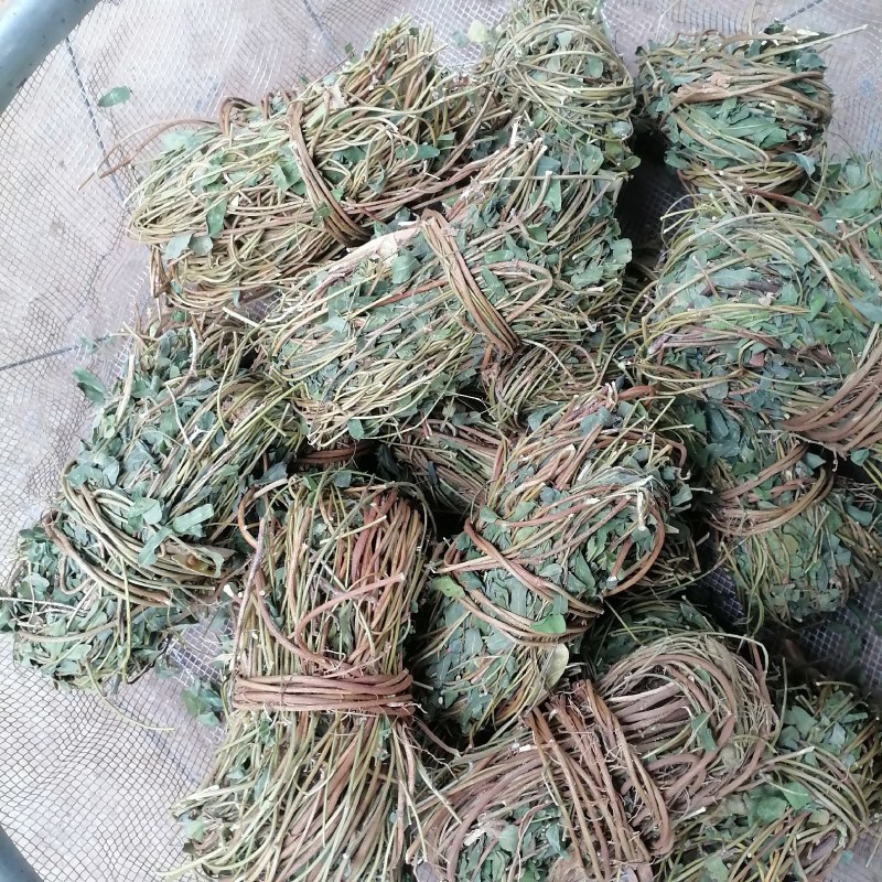 鸡骨草青绿鸡骨草带叶货源现货批发欢迎来电咨询