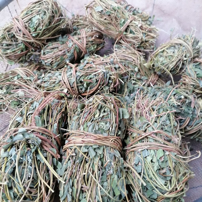 鸡骨草青绿鸡骨草带叶货源现货批发欢迎来电咨询