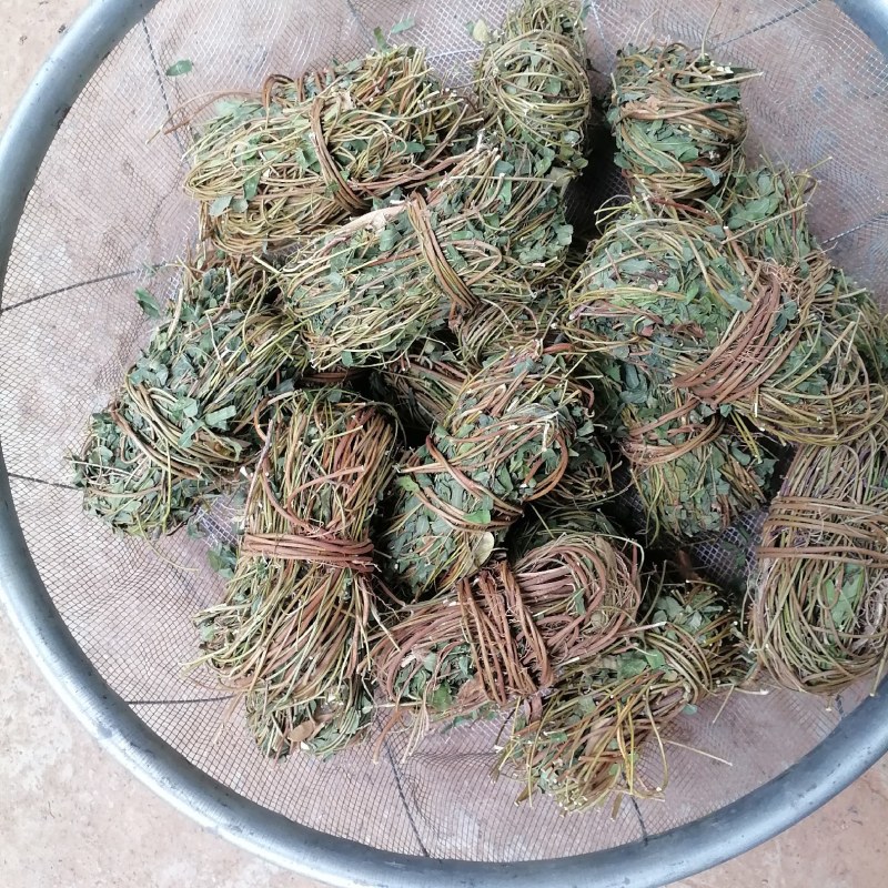 鸡骨草青绿鸡骨草带叶货源现货批发欢迎来电咨询