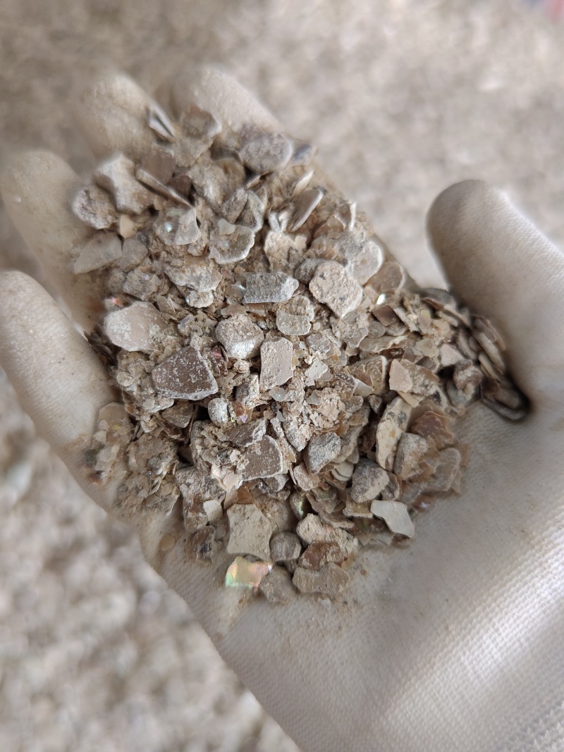 煅珍珠母，珍珠母，过2号筛饮片规格