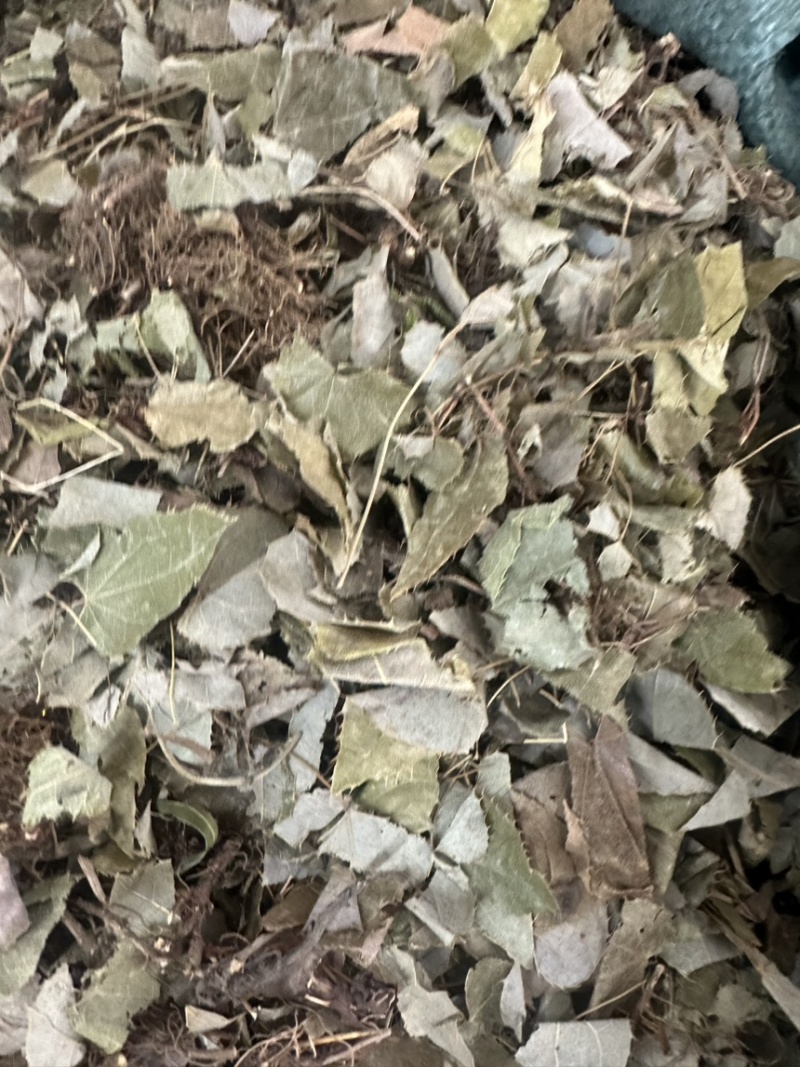淫羊霍货品均实物拍摄看到什么货收到就什么货