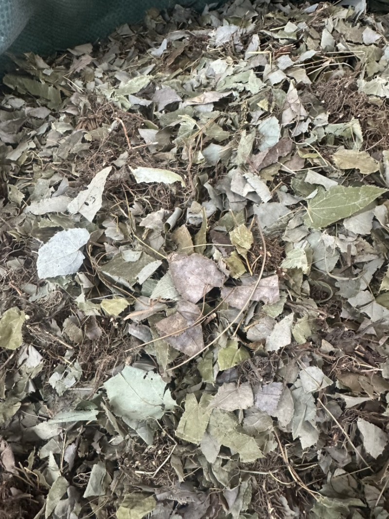 淫羊霍货品均实物拍摄看到什么货收到就什么货