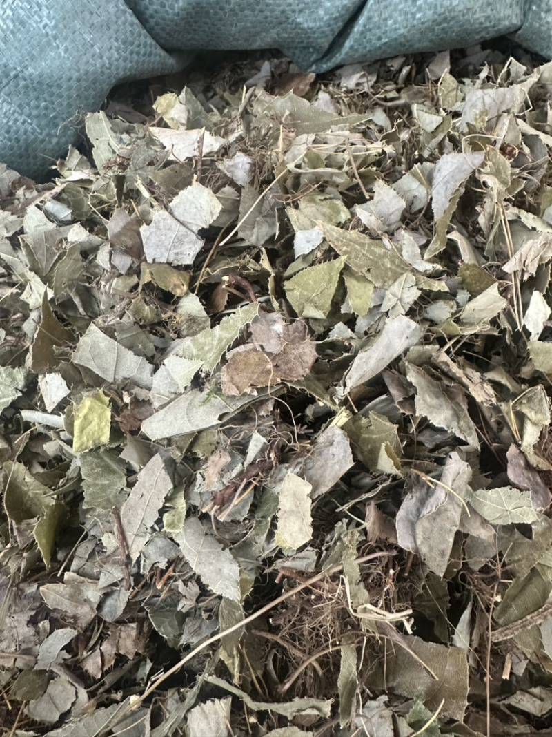 淫羊霍货品均实物拍摄看到什么货收到就什么货