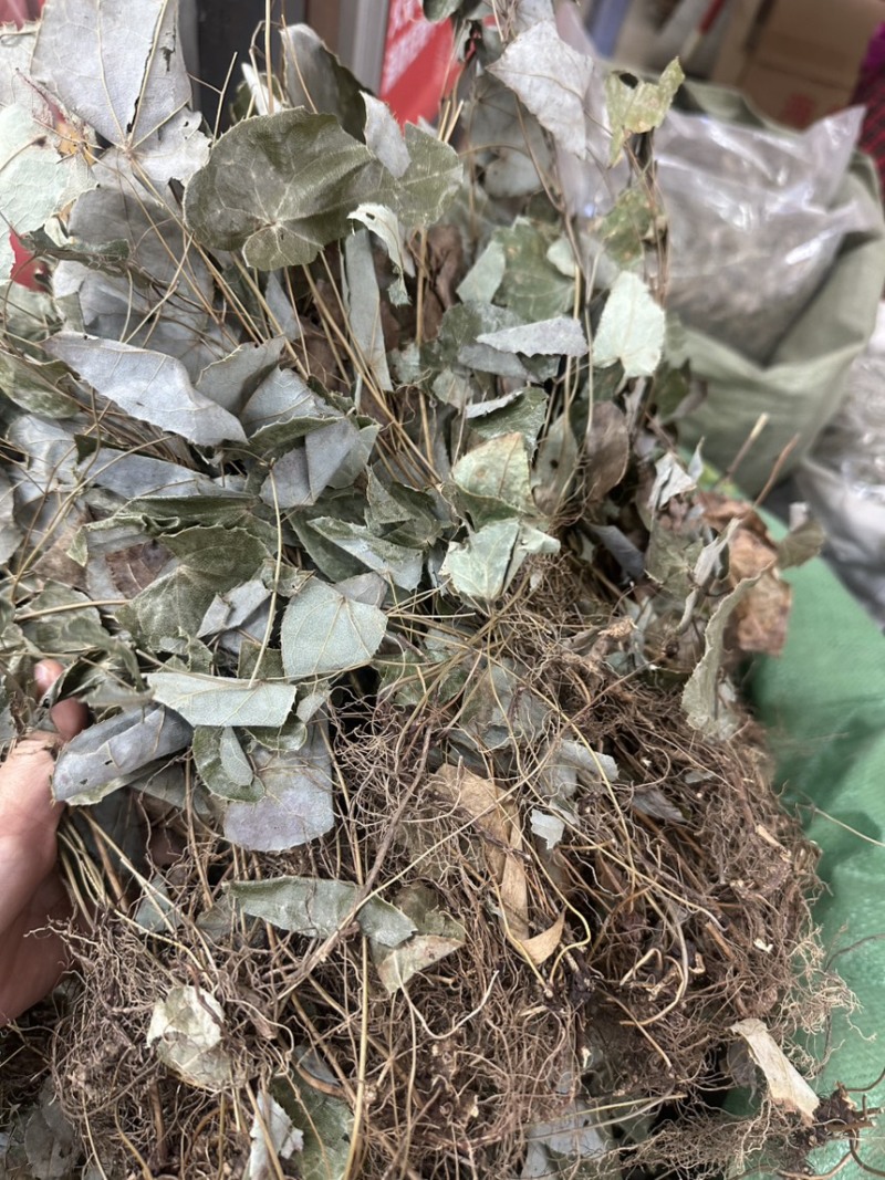 淫羊霍货品均实物拍摄看到什么货收到就什么货