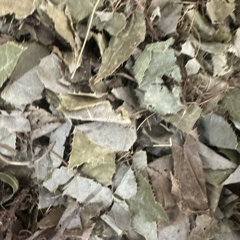 淫羊霍货品均实物拍摄看到什么货收到就什么货