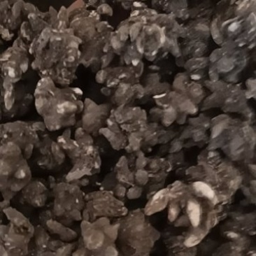 猫爪草水洗两次