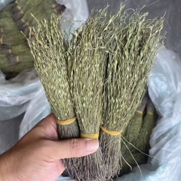 独脚金青绿新货厂货新货产地一手货源量大从优电联