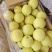 河北赵县精品雪花梨产地直供品质保证价格美丽欢迎咨询