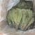 独脚金青绿新货厂货新货产地一手货源量大从优电联