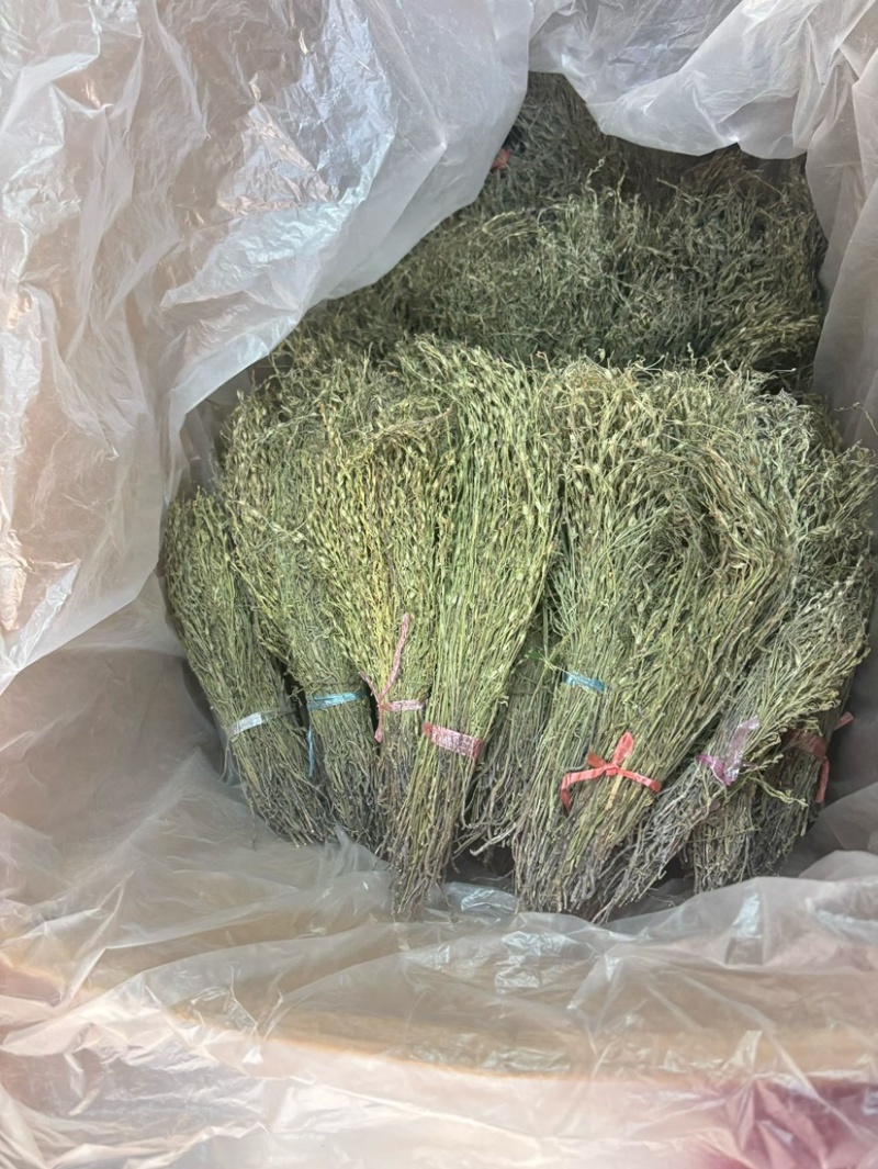 独脚金青绿新货厂货新货产地一手货源量大从优电联