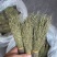 独脚金青绿新货厂货新货产地一手货源量大从优电联