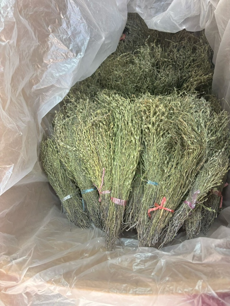 独脚金青绿新货厂货新货产地一手货源量大从优电联