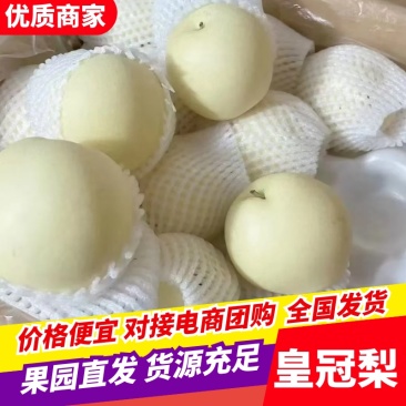 河北赵县皇冠梨货源充足保质保量价格便宜欢迎联系