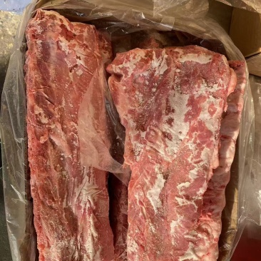 母猪龙骨