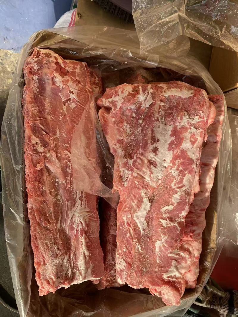 母猪龙骨