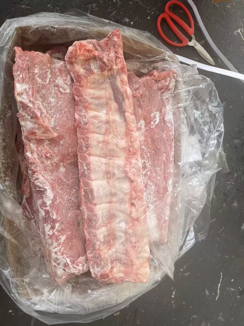 母猪龙骨