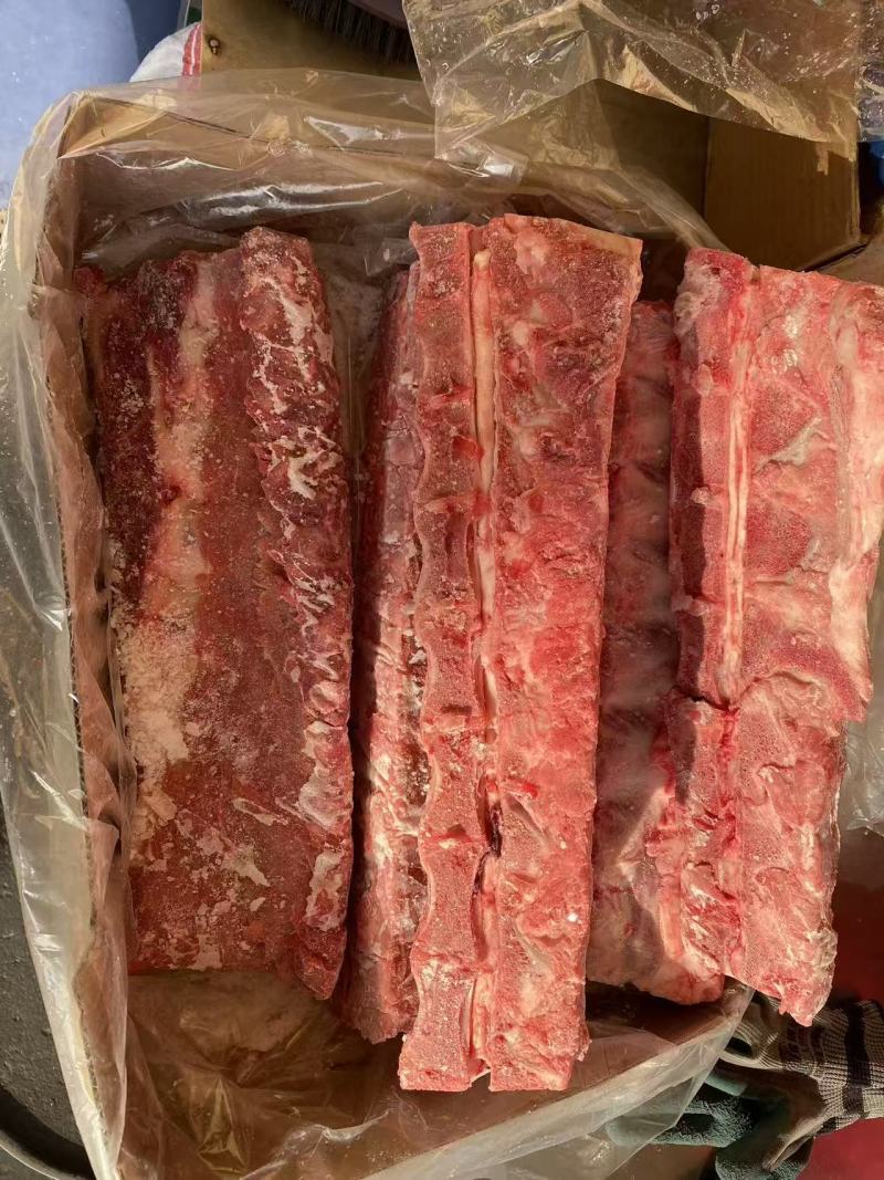 母猪龙骨