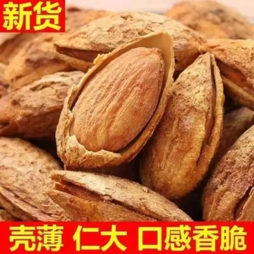 巴旦木刀果新货大量现货支持一件代发