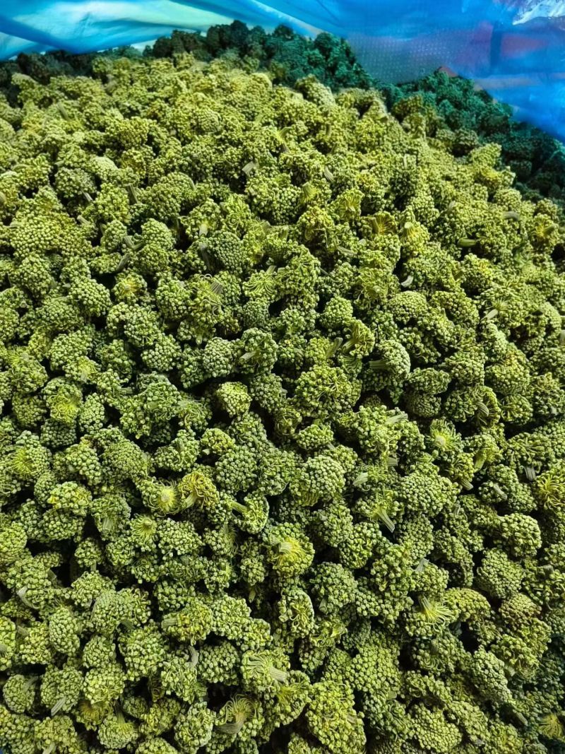 三七花，云南文山产地三七花一手货源一件代发