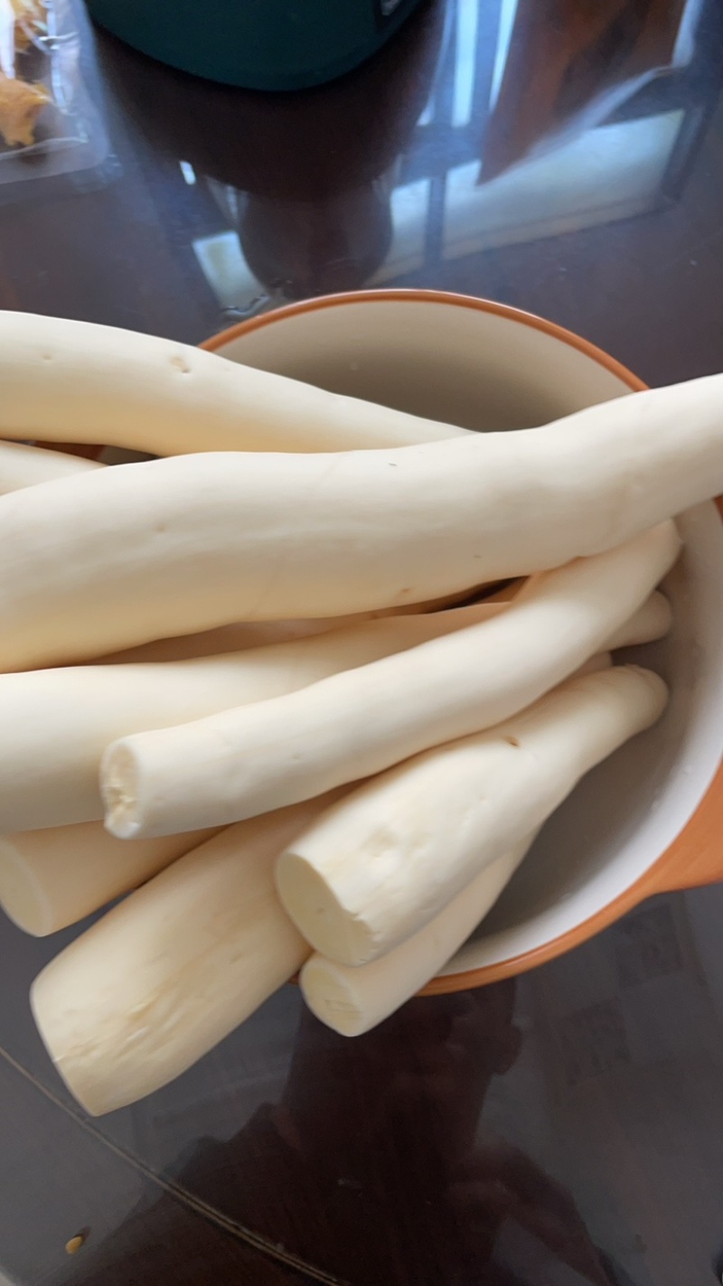 广西华南9号黄心木薯苖