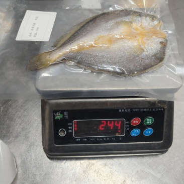 黄鱼鲞