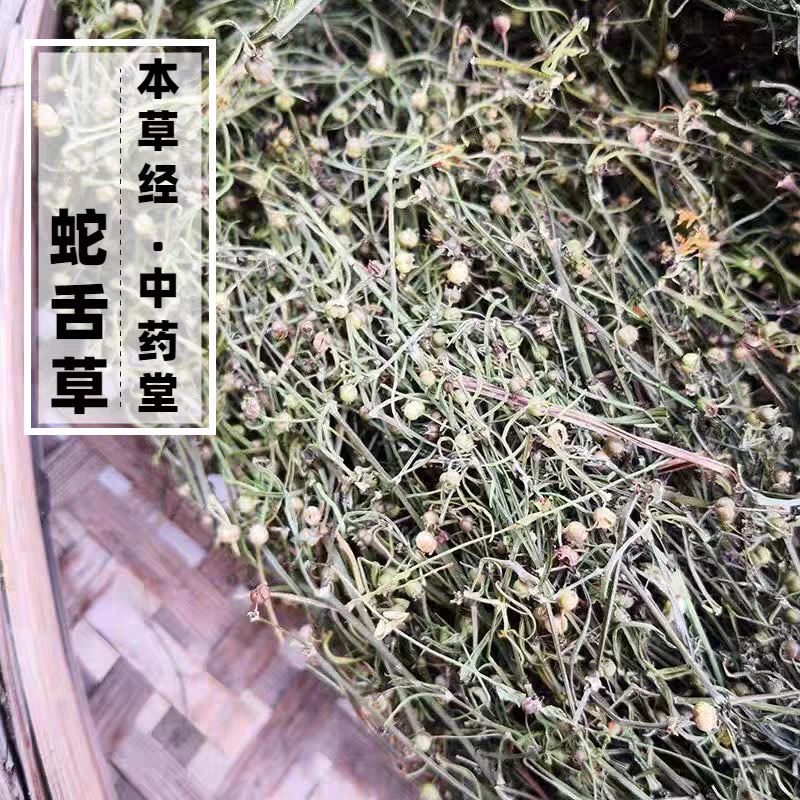 白花蛇舌草无硫江西河南白花舌草大货供应保质保量