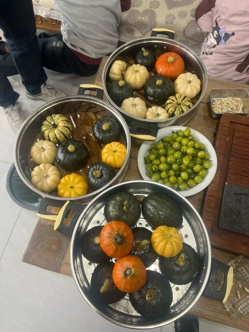 【店家推荐】贝贝南瓜种子（韩育+日系）杂交品潍坊昌乐