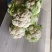 湖北天门富硒花菜基地直发保质保量可视频看货欢迎咨询