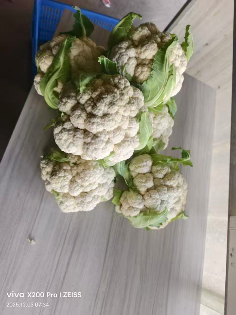 湖北天门富硒花菜基地直发保质保量可视频看货欢迎咨询
