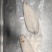 龙鳕鱼片（油鱼）