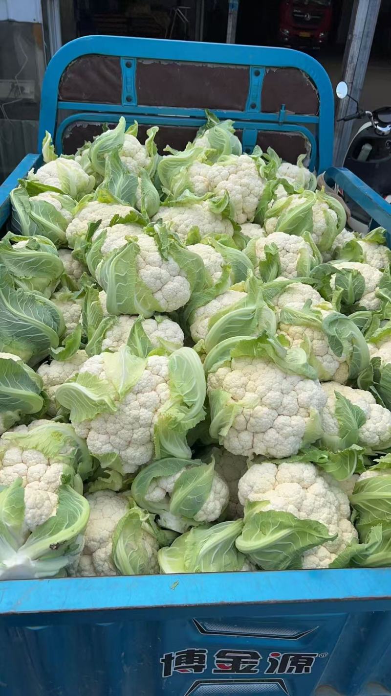 湖北天门富硒花菜基地直发保质保量可视频看货欢迎咨询