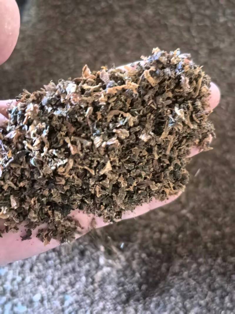 【荐】精品梅菜梅干菜基地直供量大从优一条龙服务