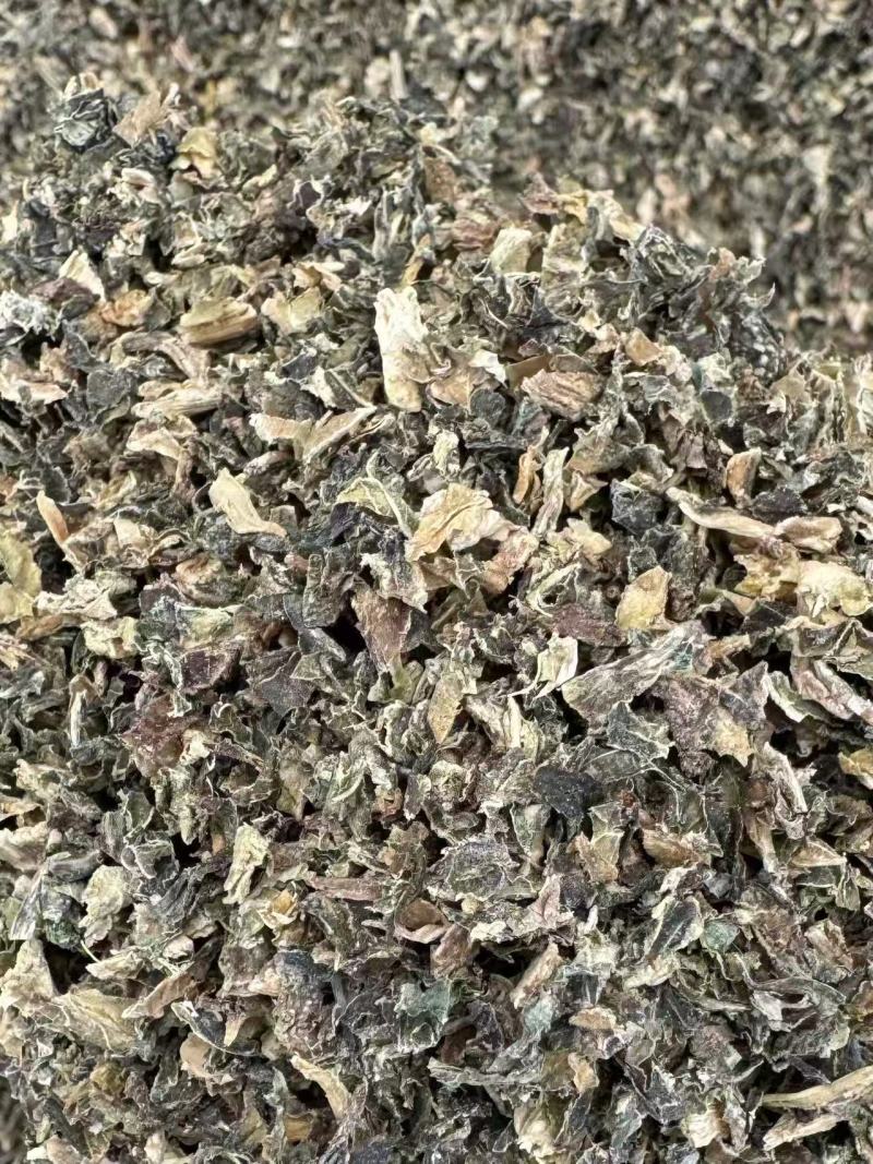 【荐】精品梅菜梅干菜基地直供量大从优一条龙服务