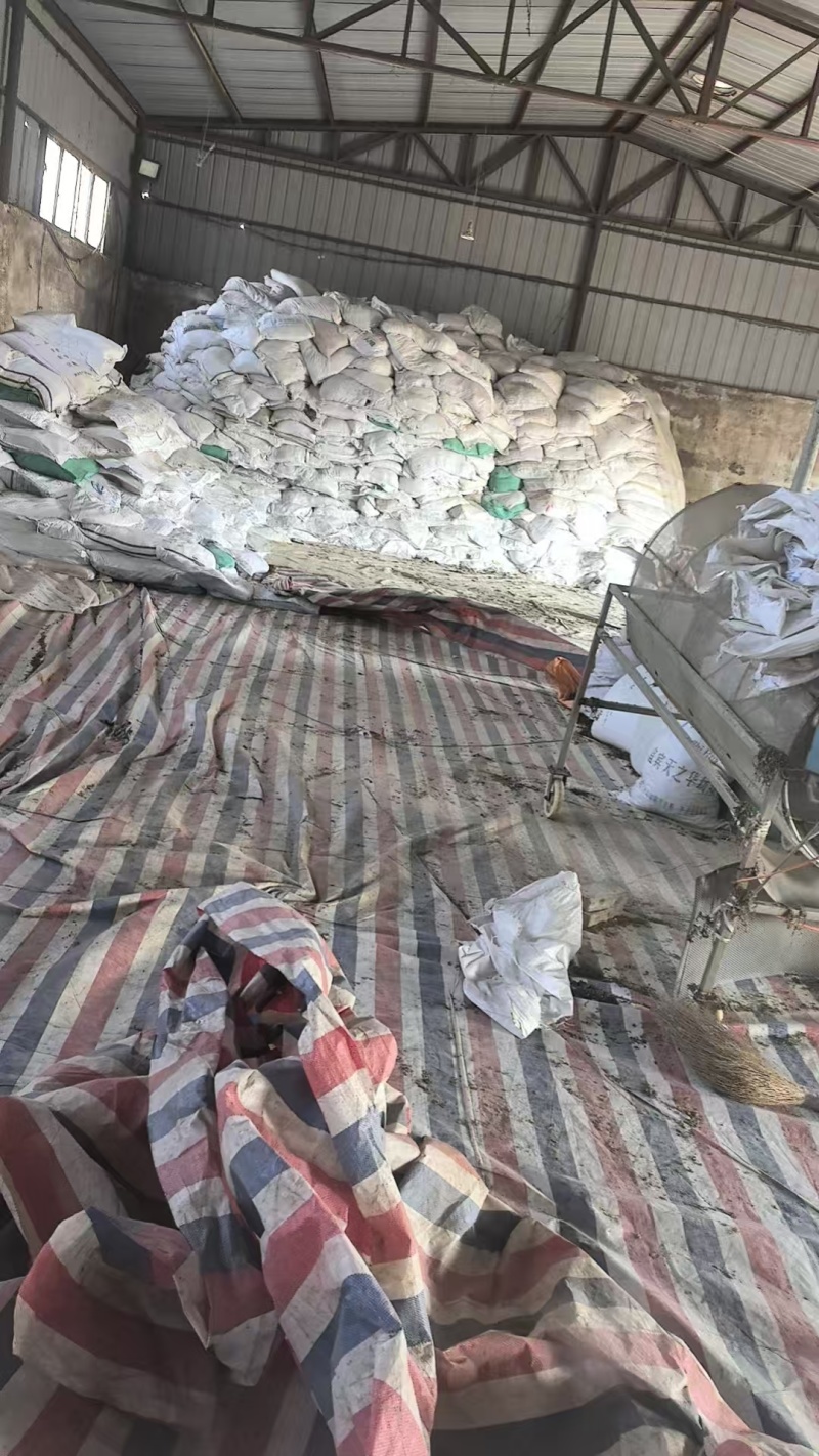 【荐】精品梅菜梅干菜基地直供量大从优一条龙服务